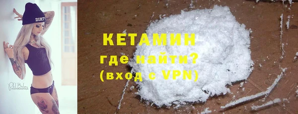 твердый Новозыбков