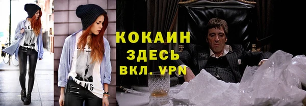 твердый Новозыбков