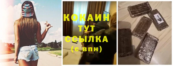 прущие грибы Нея