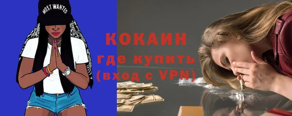 сатива Нефтекумск