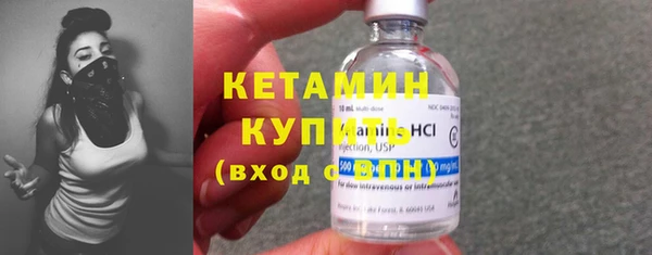 твердый Новозыбков