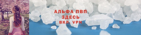 прущие грибы Нея