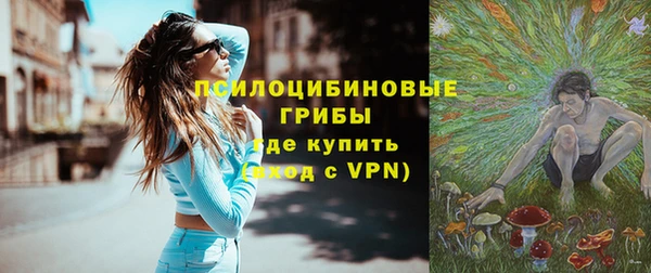 дживик Новодвинск
