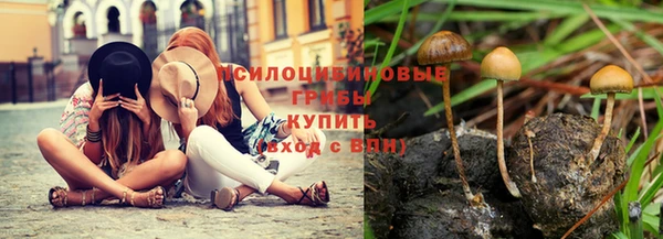 ГАЛЛЮЦИНОГЕННЫЕ ГРИБЫ Нефтегорск