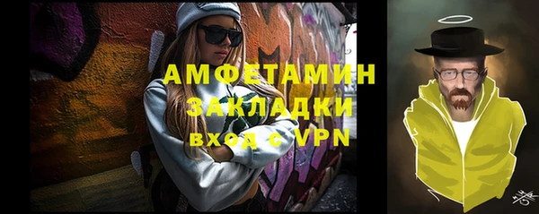 прущие грибы Нея