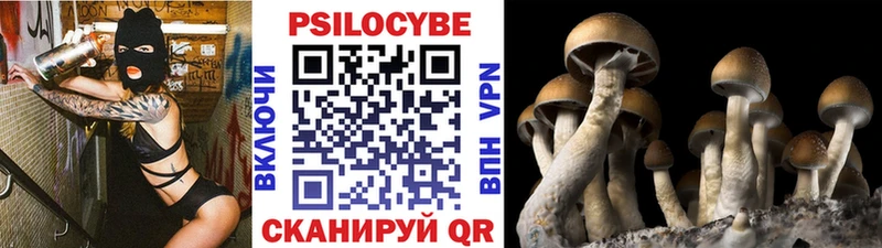 Псилоцибиновые грибы мухоморы  даркнет сайт  darknet наркотические препараты  Любань 